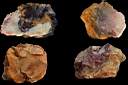 opal jasper0006.jpg